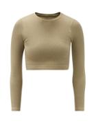 Matchesfashion.com Prism - Evoke Ribbed Stretch-jersey Cropped Top - Womens - Green