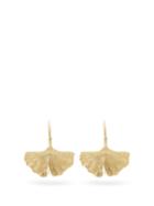 Matchesfashion.com Aurlie Bidermann Fine Jewellery - Ginkgo 18kt Gold Earrings - Womens - Gold