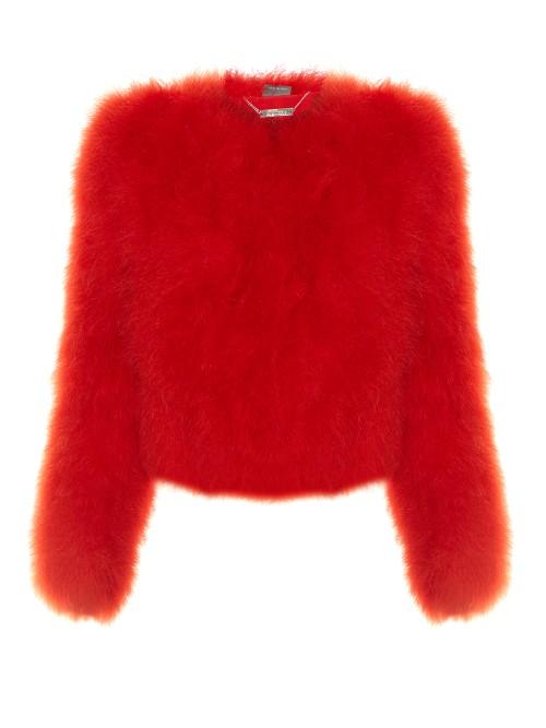 Alexander Mcqueen Round-neck Cropped Feather Jacket
