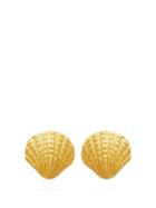 Matchesfashion.com Pippa Small Turquoise Mountain - Shell 18kt Gold Earrings - Womens - Gold