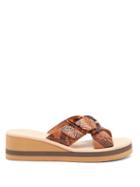Matchesfashion.com Ancient Greek Sandals - Thais Rainbow Python-effect Leather Slides - Womens - Brown Multi