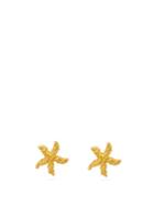 Matchesfashion.com Pippa Small Turquoise Mountain - Starfish 18kt Gold Stud Earrings - Womens - Gold