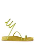 Rene Caovilla - Crystal-embellished Wraparound Satin Sandals - Womens - Green