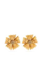Rebecca De Ravenel Flower Clip-on Earrings
