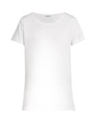 Tomas Maier Short-sleeved Jersey T-shirt