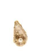 Matchesfashion.com Burberry - Faux Pearl Gold Plated Oyster Brooch - Womens - Pearl
