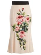 Dolce & Gabbana Rose-print Stretch-silk Midi Skirt
