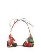 Matchesfashion.com Dolce & Gabbana - Portofino Floral Print Bikini Top - Womens - Red Print
