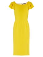 Dolce & Gabbana Cap-sleeved Cady Midi Dress