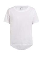 Matchesfashion.com Loewe - Logo Embossed Cotton T Shirt - Womens - White