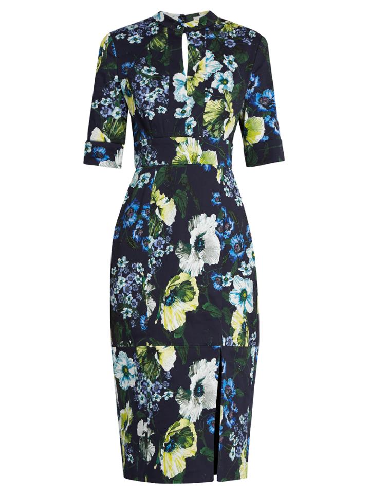 Erdem Davina Hasu Night-print Cotton-blend Twill Dress