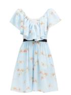 Matchesfashion.com Emilia Wickstead - Juniper Floral-print Ruffled Cotton Mini Dress - Womens - Blue Print