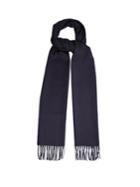 Max Mara Fringed Cashmere Scarf