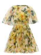 Matchesfashion.com Dolce & Gabbana - Caped Camellia-print Silk-organza Mini Dress - Womens - Yellow Print
