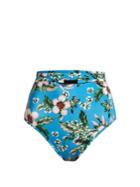 Diane Von Furstenberg Cheeky High-waisted Bikini Briefs