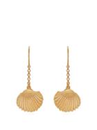 Matchesfashion.com Aurlie Bidermann - Fortaleza Shell 18kt Gold Plated Earrings - Womens - Gold