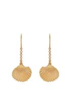 Matchesfashion.com Aurlie Bidermann - Fortaleza Shell 18kt Gold Plated Earrings - Womens - Gold