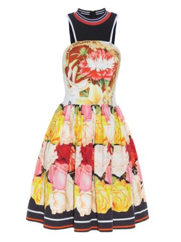 Mary Katrantzou Densis Rosa Alba-print Mini Dress