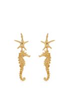 Oscar De La Renta Starfish Earrings