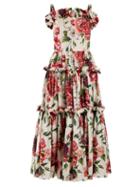 Matchesfashion.com Dolce & Gabbana - Peony And Rose Print Cotton Poplin Dress - Womens - White Multi