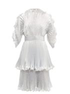 Matchesfashion.com Zandra Rhodes - Sunray Pleated Lam Knee Length Dress - Womens - Silver