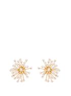 Ellery Moonradish Chandelier Gold-plated Earrings