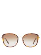 Matchesfashion.com Gucci - Oversized Round Acetate Sunglasses - Womens - Brown