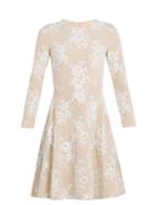 Huishan Zhang Kiera Cotton-blend Floral-lace Dress