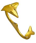 Shark Tooth