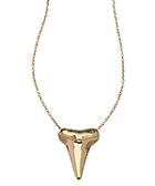 Gold Shark Tooth Pendant Necklace