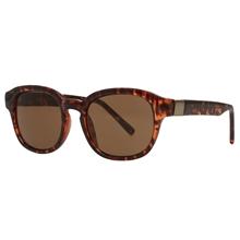Tortoise Zyl Sunglasses-one-tortoise
