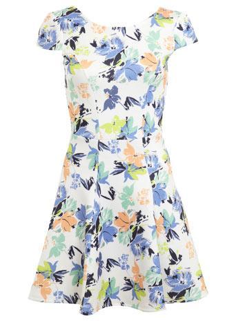 Blue Floral Fit Flare Dress