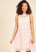  Delightful Meets Divine Lace Dress In 14