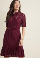 Adriannapapell Adrianna Papell Lace Shirt Dress With Ruffle Hem In 12