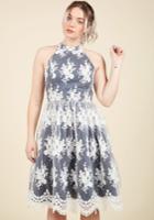  Distinguished Decadence Lace Dress In Navy In Xs