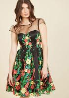  Expressive Embroidery Fit And Flare Dress In Xxs