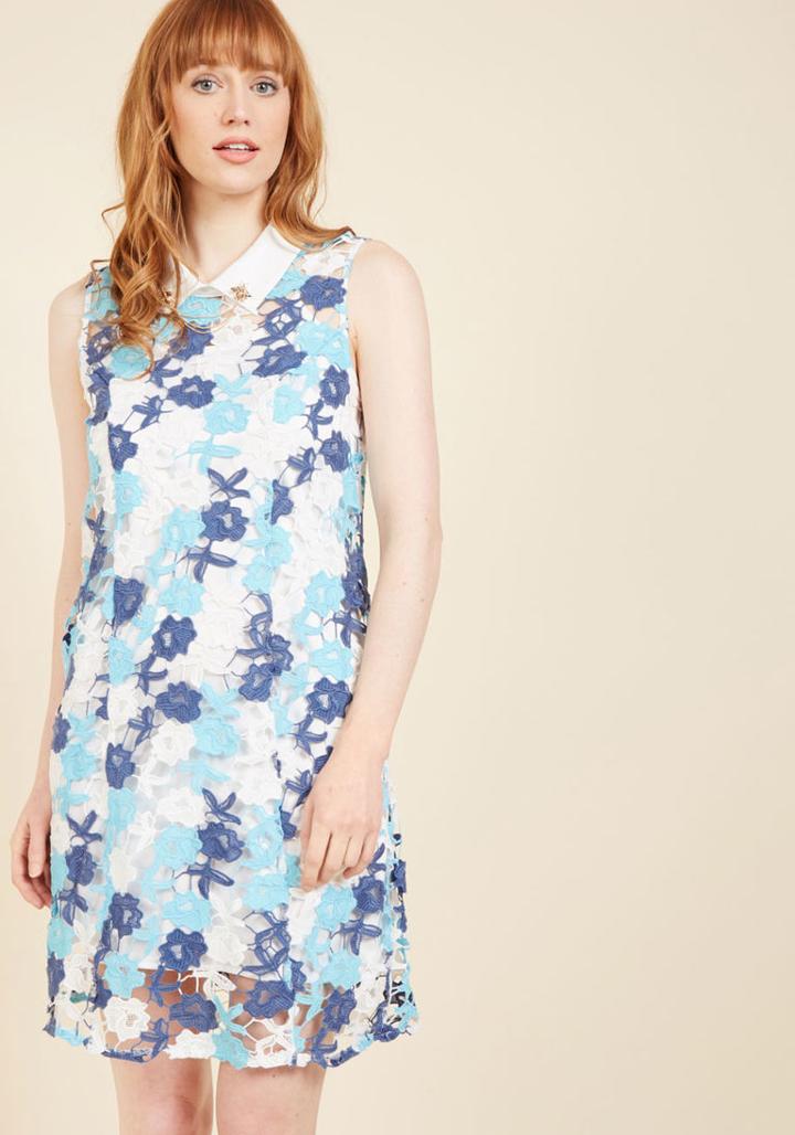  Unrivaled Arrival Shift Dress In S