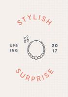  Stylish Surprise - Jewelry
