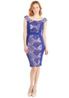 Littlemistress Cosmopolitan And Effect Dress