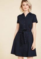  Smoothie Enthusiast A-line Dress In Navy In 4x