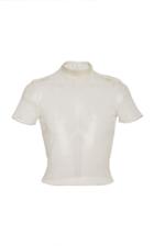 Alexis Wera Short Sleeve Sheer Top