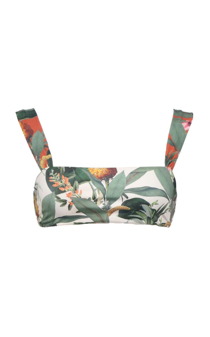 Palmacea Pia 31 Bikini Top