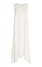 Pascal Millet Lace Sleeveless A-line Dress
