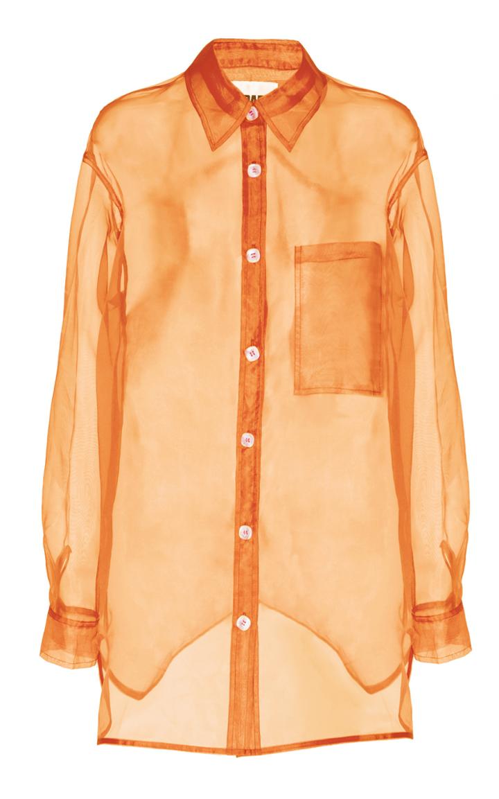 Moda Operandi Apparis Evelyn Organza Sheer Oversized Shirt Size: S