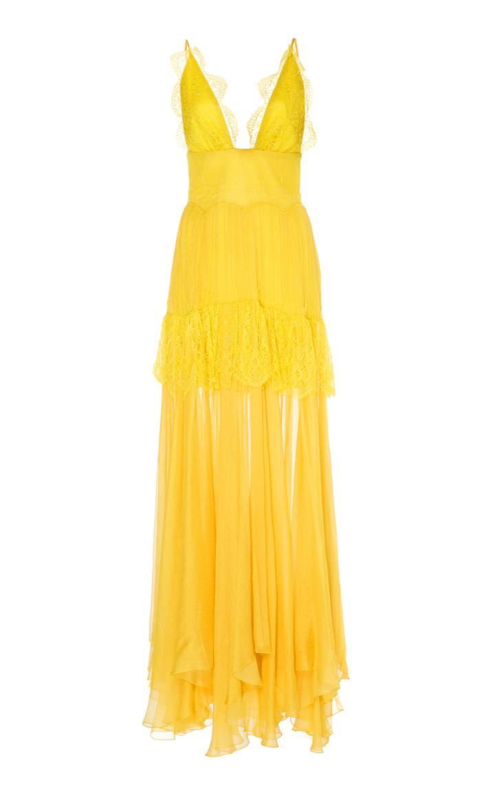 Maria Lucia Hohan Susana Metallic Mousseline Lace Dress