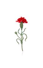 Luz Camino Red Carnation Brooch