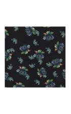 Lake Studio Silk Print Scarf
