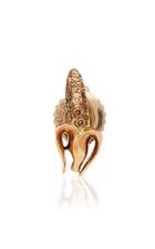 Bibi Van Der Velden Mini Banana Stud Diamond (single Earring)