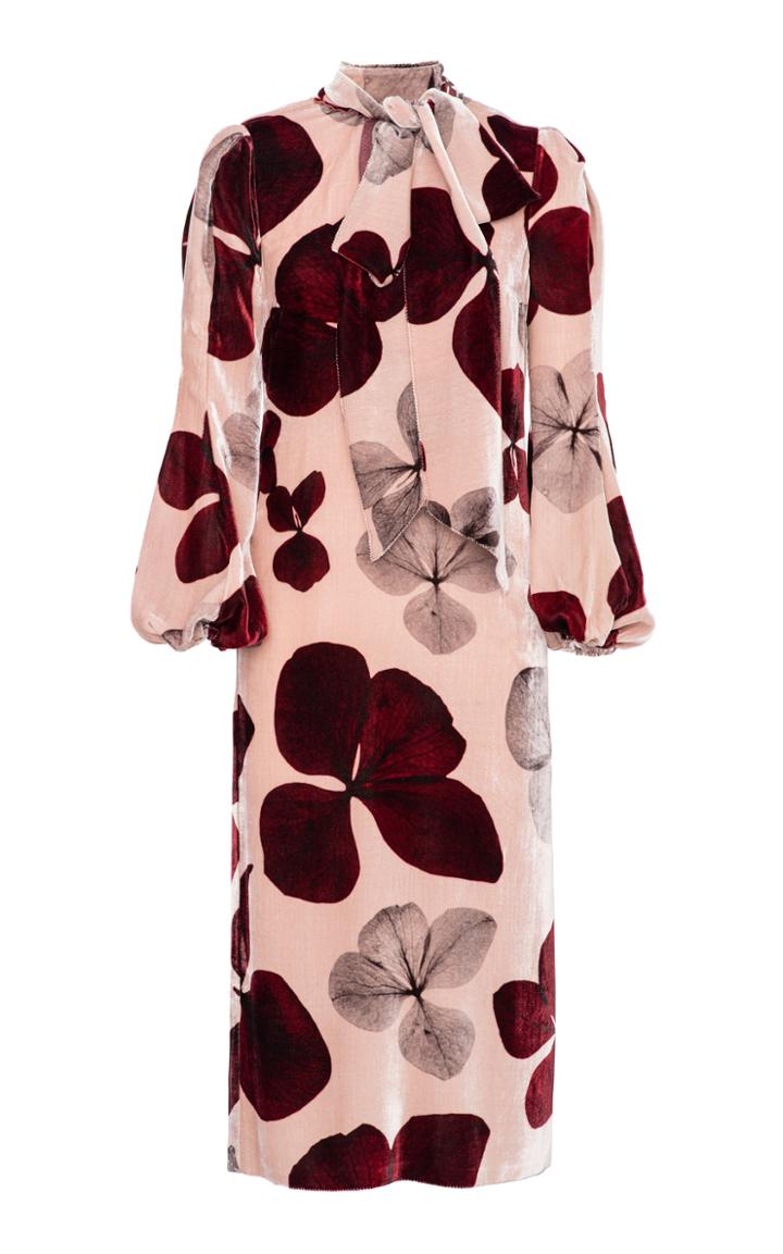 Maria Lucia Hohan Rona Printed Velvet Dress