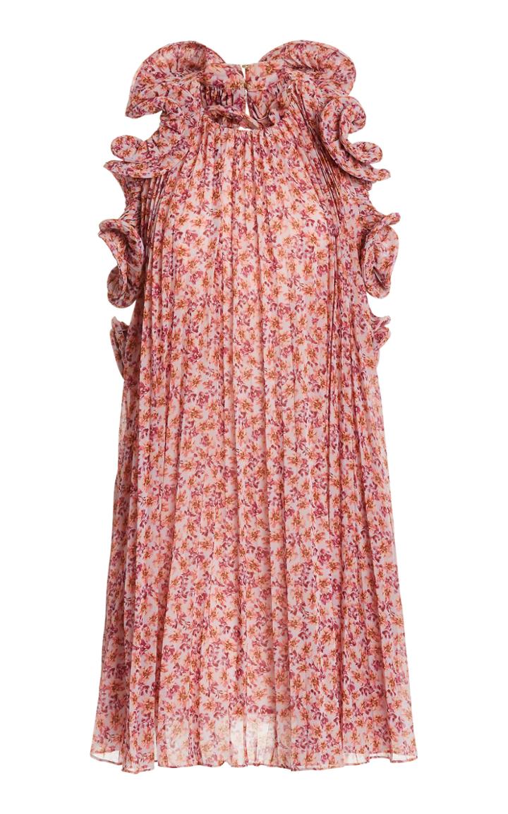 Amur Mimi Ruffled Floral-print Chiffon Mini Dress